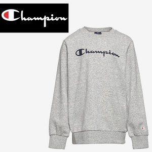 Champion Cotton Fleece Crewneck - Small